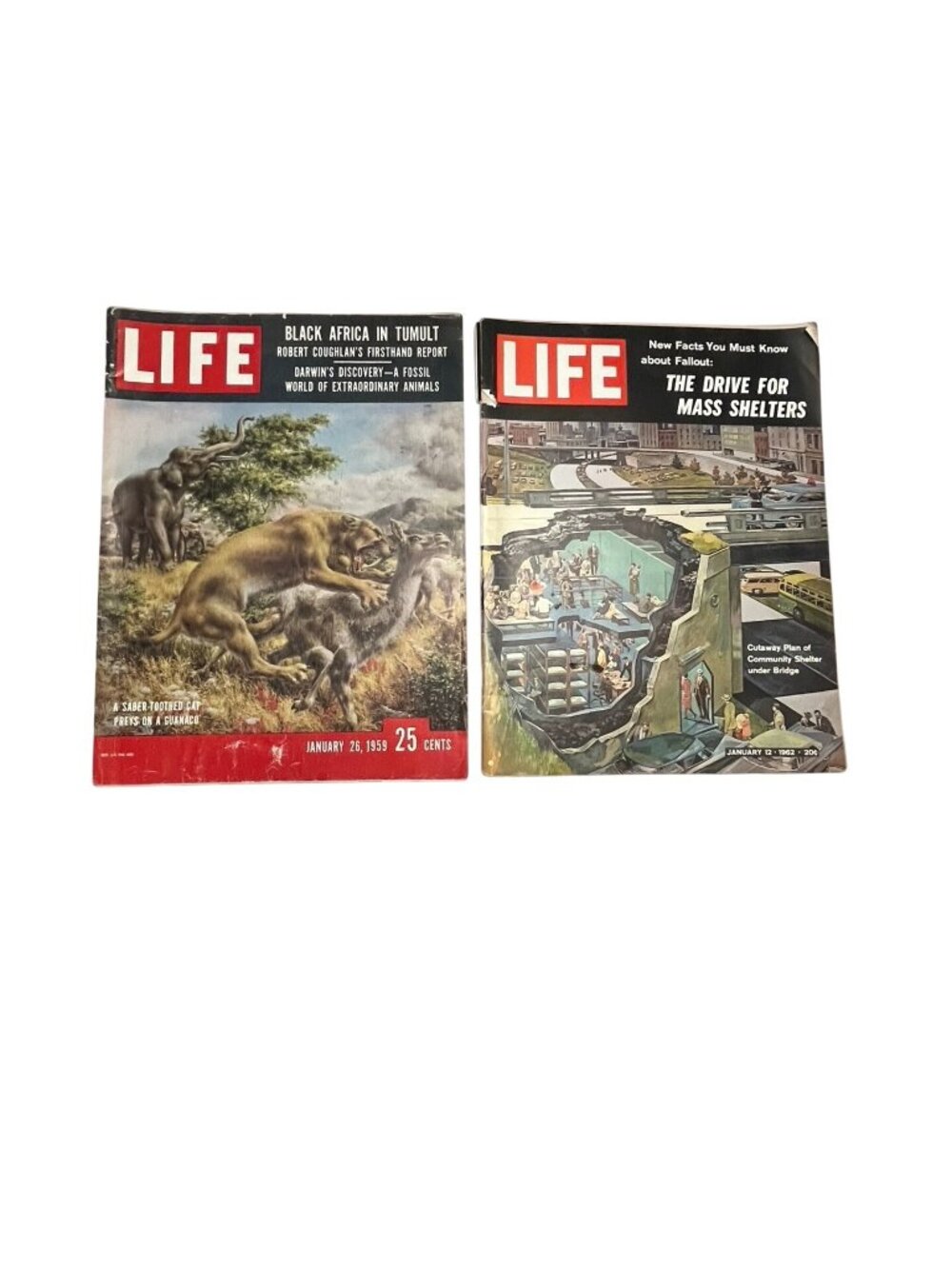 Vintage LIFE Magazine Lot 1959 1962 Cold War Fallout Shelter Sabertooth Cat Mid